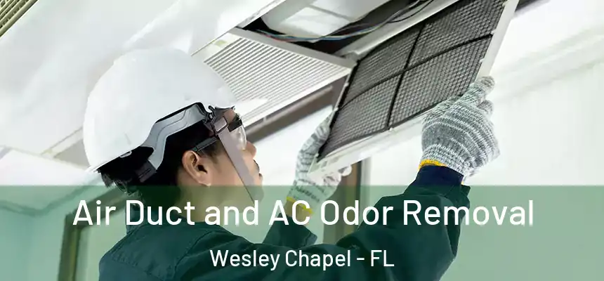  Air Duct and AC Odor Removal Wesley Chapel - FL