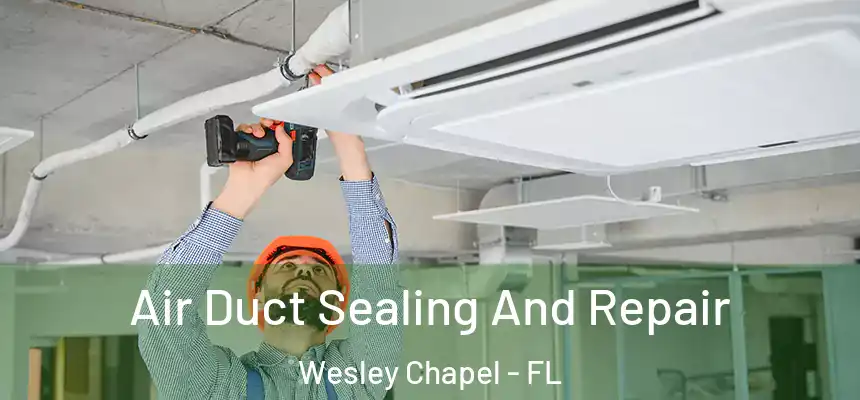  Air Duct Sealing And Repair Wesley Chapel - FL