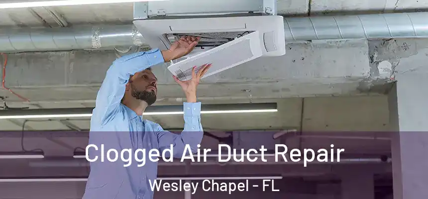  Clogged Air Duct Repair Wesley Chapel - FL