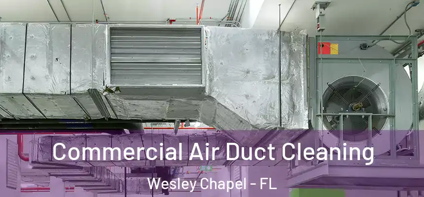  Commercial Air Duct Cleaning Wesley Chapel - FL