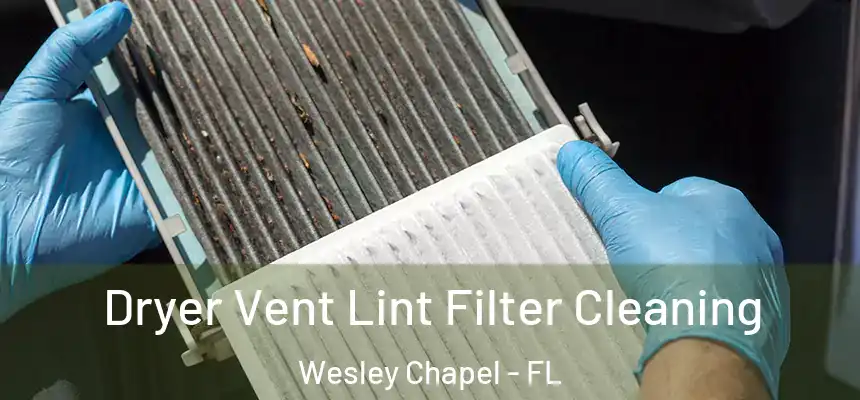  Dryer Vent Lint Filter Cleaning Wesley Chapel - FL