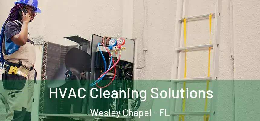  HVAC Cleaning Solutions Wesley Chapel - FL