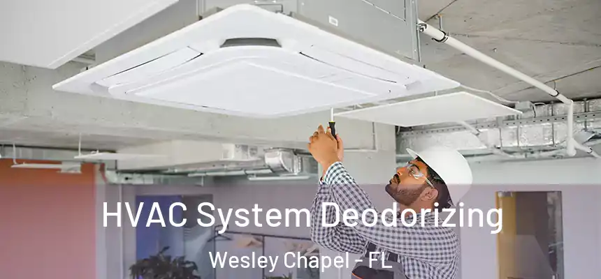  HVAC System Deodorizing Wesley Chapel - FL