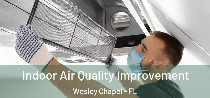 Indoor Air Quality Improvement Wesley Chapel - FL