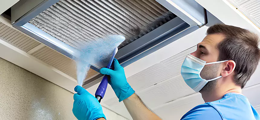 Proactive Dryer Vent & Auxiliary Duct Pollen Cleanup in Wesley Chapel, FL