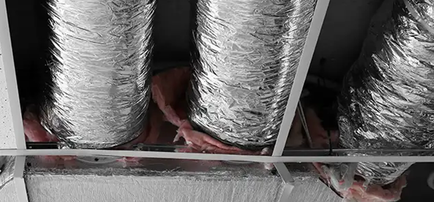 Scalable Commercial Multi‑Unit Dryer Vent Camera Inspection in Wesley Chapel, FL