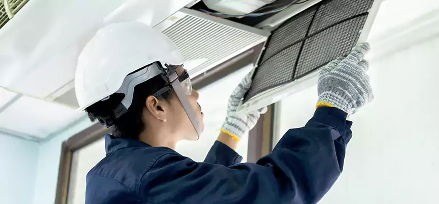 Our Mold & Mildew Removal from Air Ducts Services in Wesley Chapel, FL