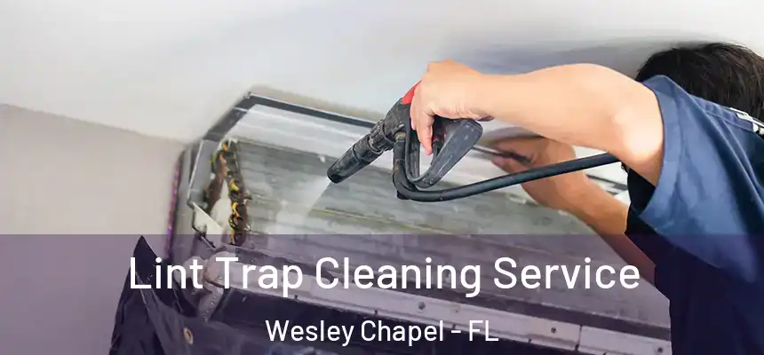 Lint Trap Cleaning Service Wesley Chapel - FL