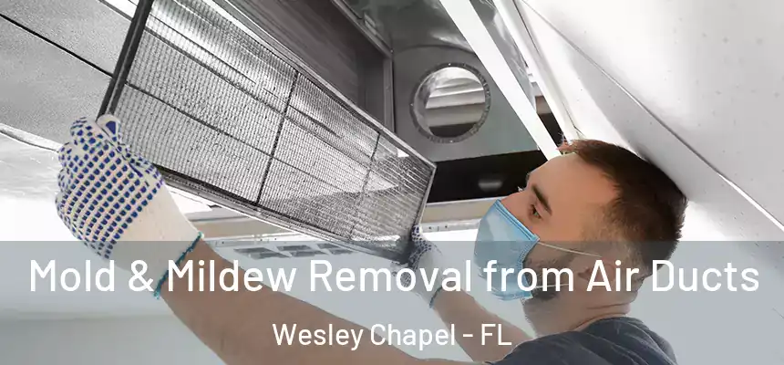 Mold & Mildew Removal from Air Ducts Wesley Chapel - FL
