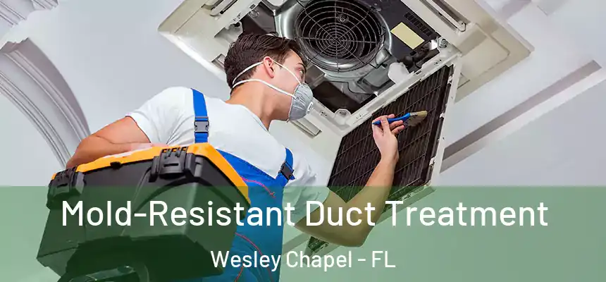  Mold-Resistant Duct Treatment Wesley Chapel - FL