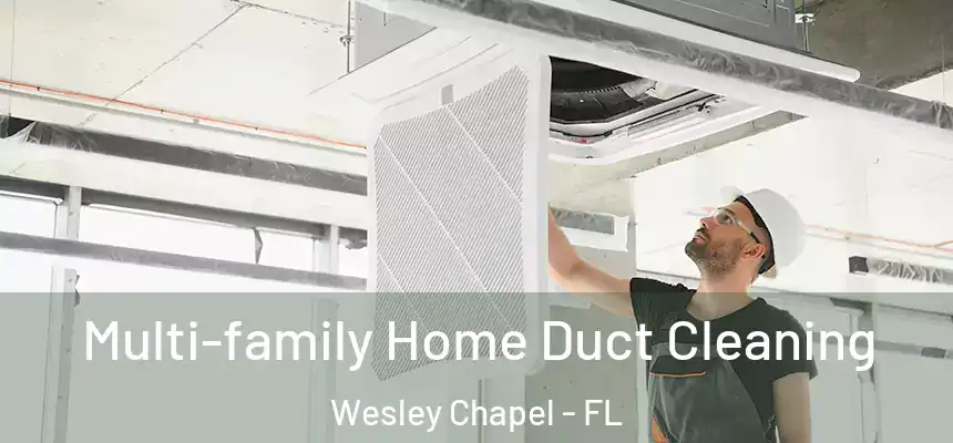 Multi-family Home Duct Cleaning Wesley Chapel - FL