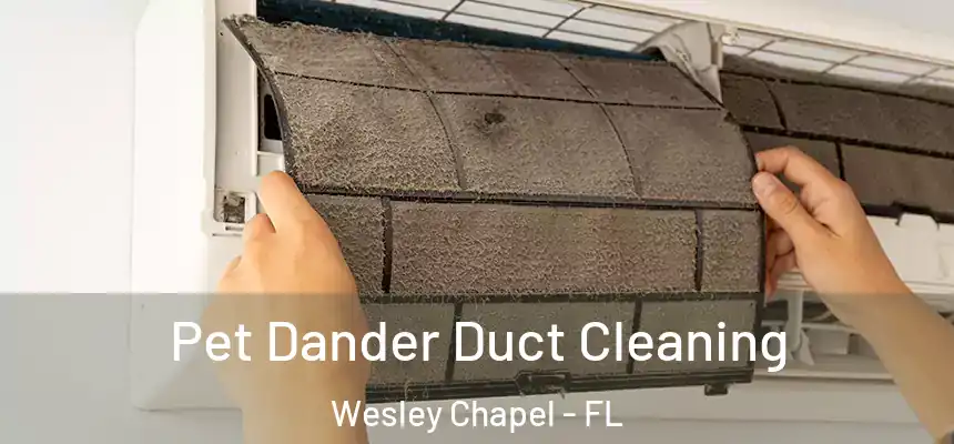  Pet Dander Duct Cleaning Wesley Chapel - FL