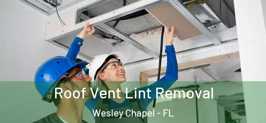 Roof Vent Lint Removal Wesley Chapel - FL