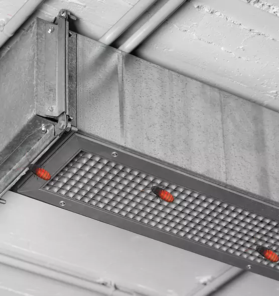 About Air Duct Cockroach Removal in Wesley Chapel, FL