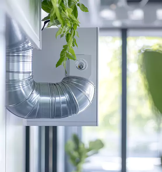 Professional Eco-Friendly Duct Cleaning Services in Wesley Chapel, FL