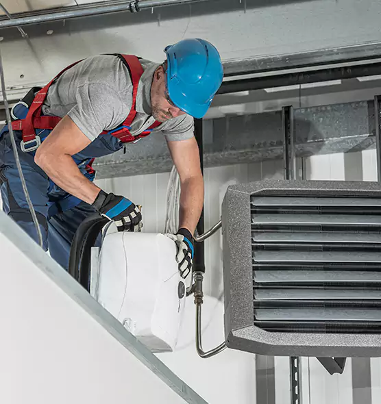 About HVAC Mold Remediation Service in Wesley Chapel, FL