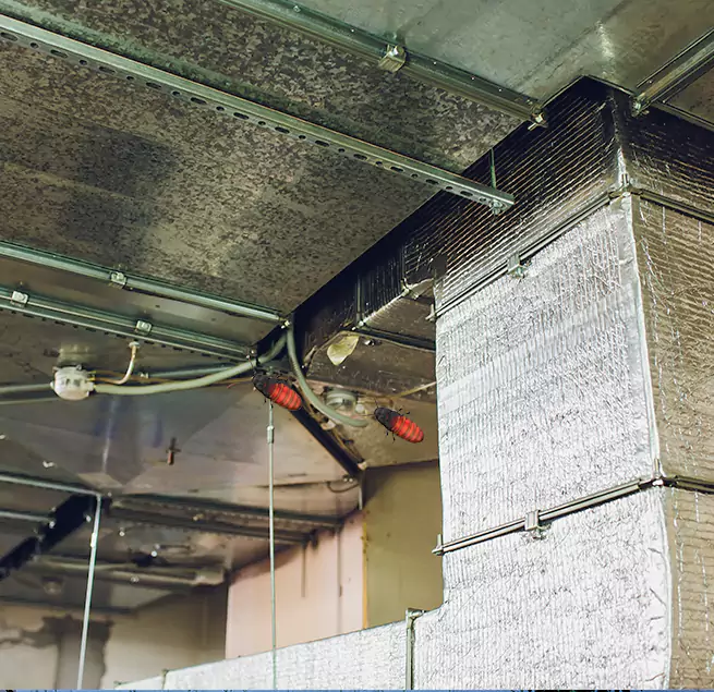 Why Homeowners & Businesses Trust Us in Wesley Chapel, FL?