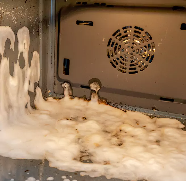 Why Homeowners & Businesses Trust Us in Wesley Chapel, FL?