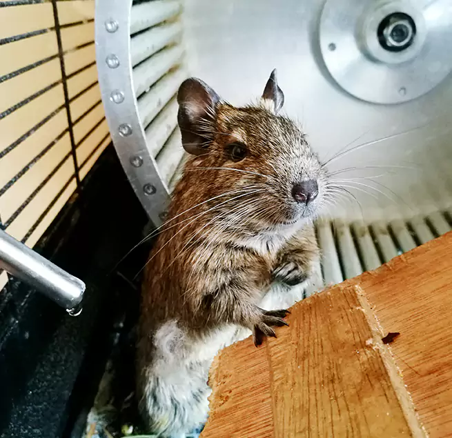 Why Homeowners & Businesses Trust Us Wesley Chapel, FL