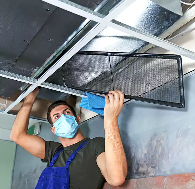 Why Homeowners Businesses Trust Us in Wesley Chapel, FL