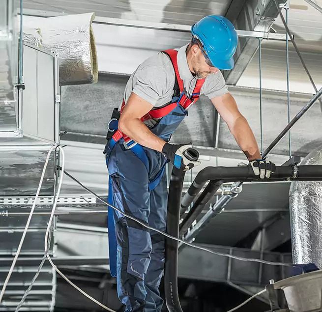 Why Homeowners & Businesses Trust Us in Wesley Chapel, FL?