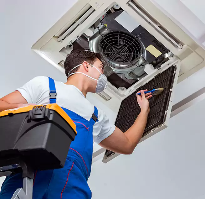 Why Homeowners & Businesses Trust Us in Wesley Chapel, FL