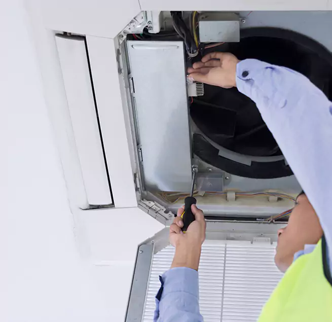 Why Homeowners & Businesses Trust Us in Wesley Chapel, FL?