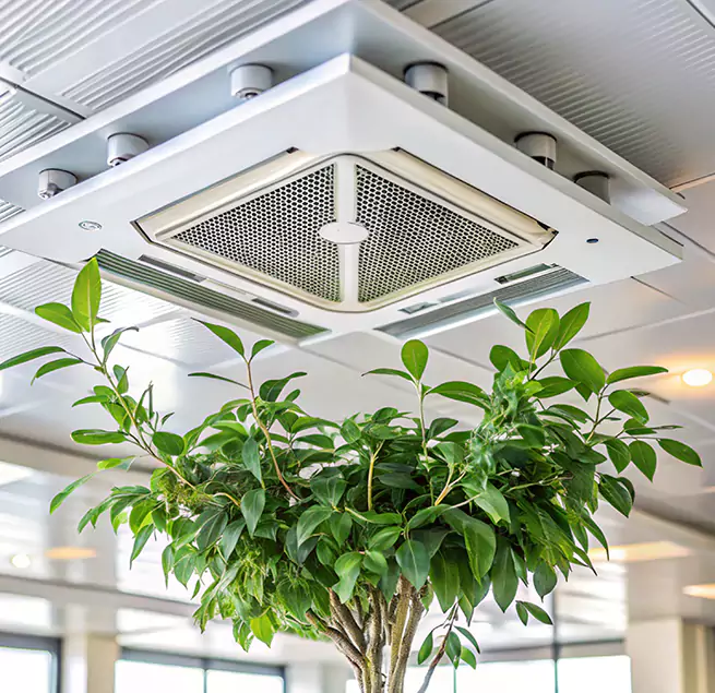 Why Homeowners & Businesses Trust Us in Wesley Chapel, FL