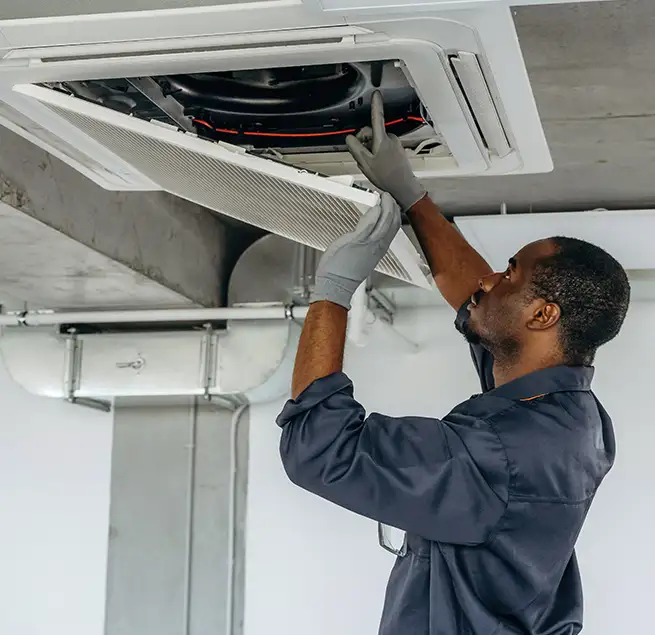 Why Homeowners & Businesses Trust Us in Wesley Chapel, FL?