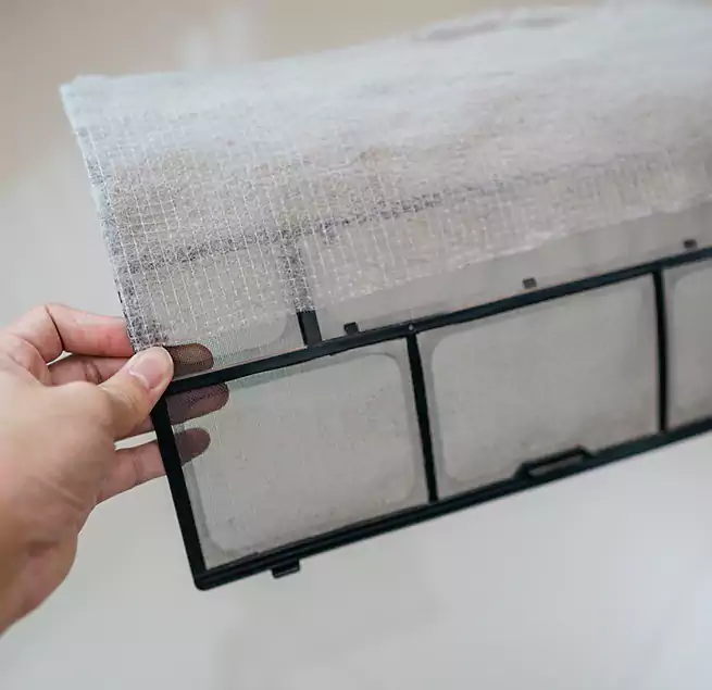 Why Homeowners & Businesses Trust Us in Wesley Chapel, FL?