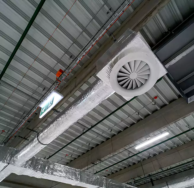 Why Homeowners & Businesses Trust Us in Wesley Chapel, FL