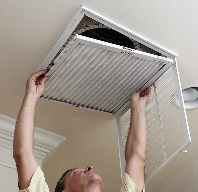 Why Homeowners & Businesses Trust Us in Wesley Chapel, FL?