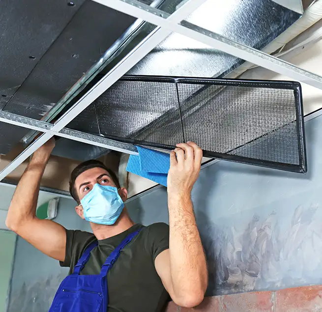 Why Homeowners & Businesses Trust Us in Wesley Chapel, FL?