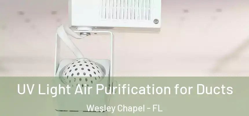  UV Light Air Purification for Ducts Wesley Chapel - FL